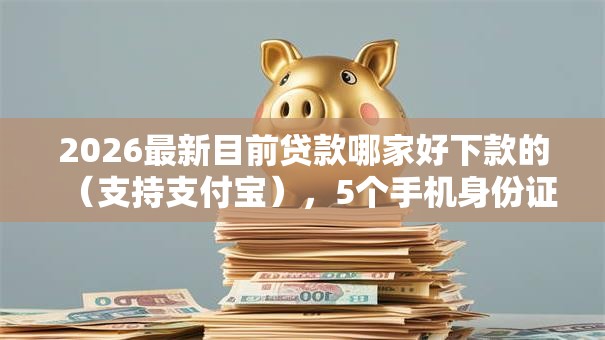 2026最新目前贷款哪家好下款的（支持支付宝），5个手机身份证秒借现金的平台无私分享