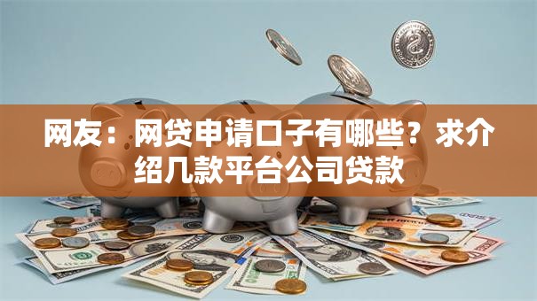 网友:网贷申请口子有哪些?求介绍几款平台公司贷款 网友:网贷申请口子有哪些?求介绍几款平台公司贷款