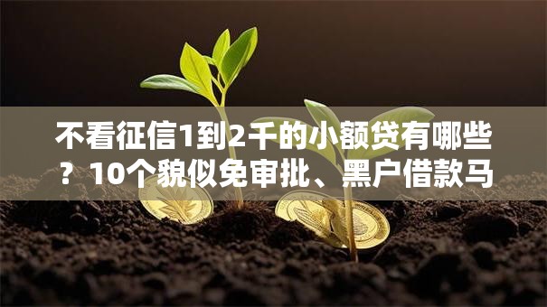 不看征信1到2千的小额贷有哪些?10个貌似免审批、黑户借款马上到账的口子合集 不看征信1到2千的小额贷有哪些?10个貌似免审批、黑户借款马上到账的口子合集