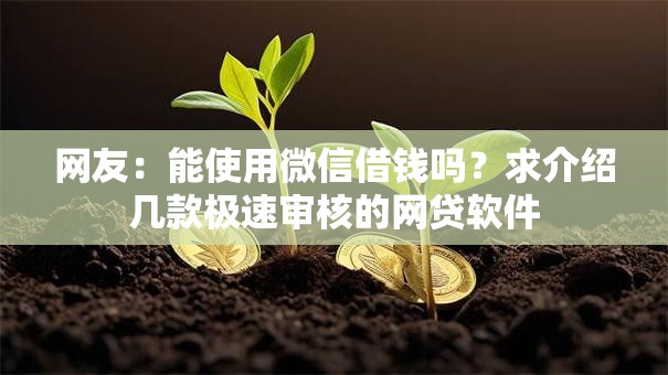 网友：能使用微信借钱吗？求介绍几款极速审核的网贷软件