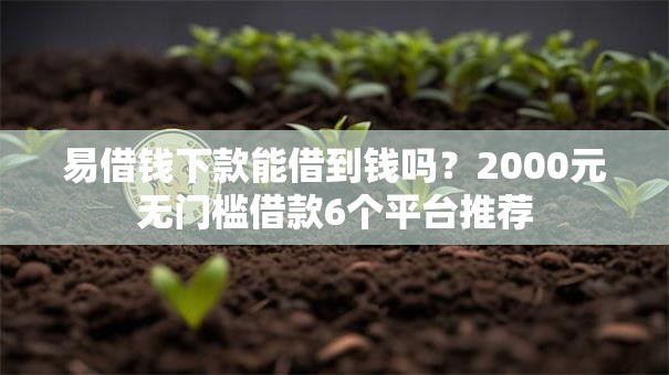 易借钱下款能借到钱吗？2000元无门槛借款6个平台推荐