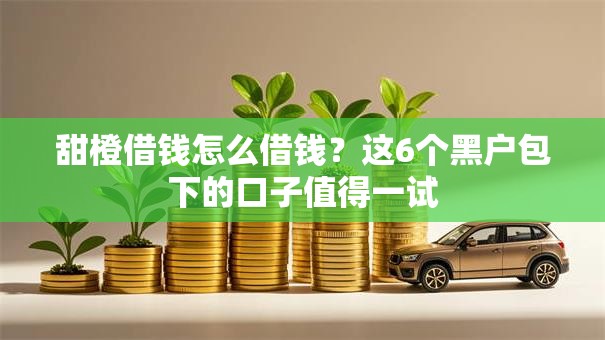 甜橙借钱怎么借钱？这6个黑户包下的口子值得一试