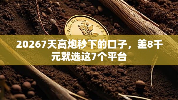 20267天高炮秒下的口子,差8千元就选这7个平台 20267天高炮秒下的口子,差8千元就选这7个平台