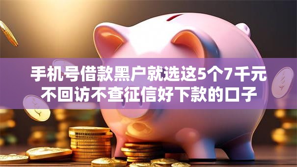 手机号借款黑户就选这5个7千元不回访不查征信好下款的口子