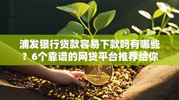 浦发银行贷款容易下款吗有哪些？6个靠谱的网贷平台推荐给你