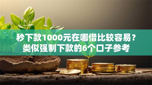 秒下款1000元在哪借比较容易？类似强制下款的6个口子参考