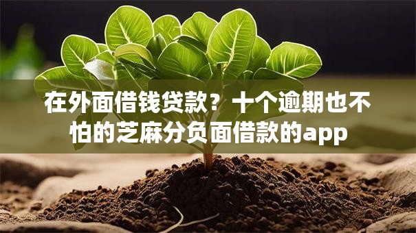 在外面借钱贷款?十个逾期也不怕的芝麻分负面借款的app 在外面借钱贷款?十个逾期也不怕的芝麻分负面借款的app