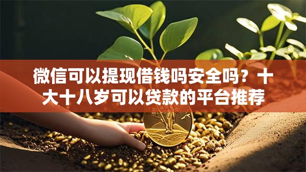 微信可以提现借钱吗安全吗？十大十八岁可以贷款的平台推荐