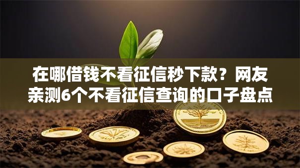 在哪借钱不看征信秒下款？网友亲测6个不看征信查询的口子盘点