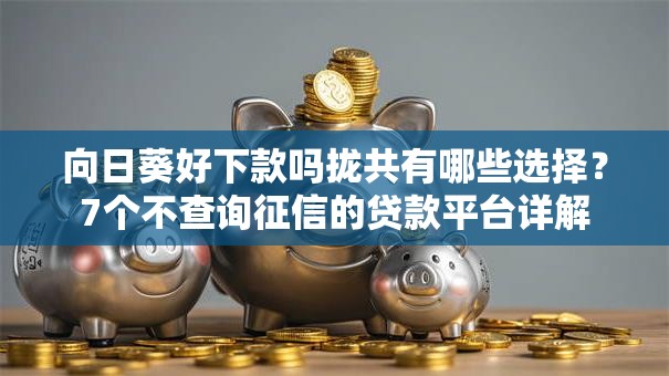 向日葵好下款吗拢共有哪些选择？7个不查询征信的贷款平台详解