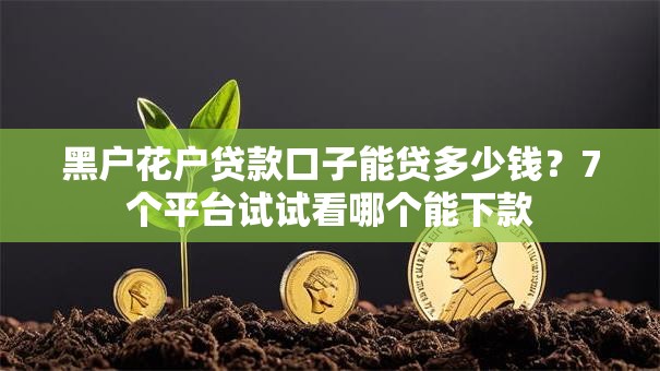 黑户花户贷款口子能贷多少钱?7个平台试试看哪个能下款 黑户花户贷款口子能贷多少钱?7个平台试试看哪个能下款