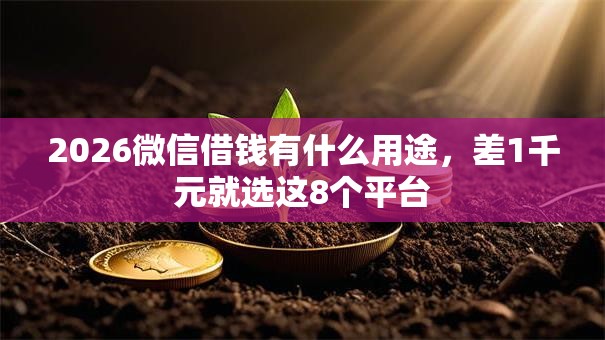 2026微信借钱有什么用途，差1千元就选这8个平台