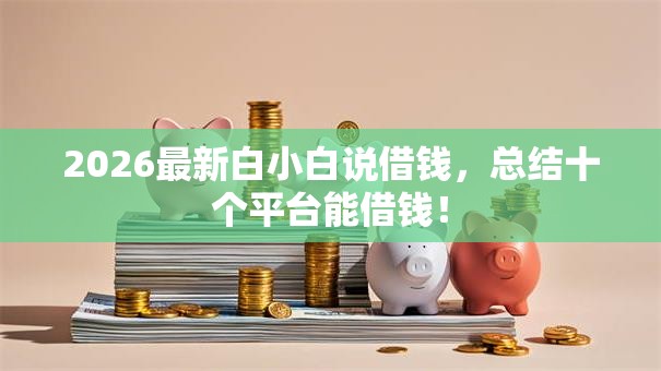 2026最新白小白说借钱，总结十个平台能借钱！