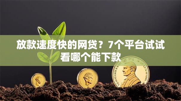 放款速度快的网贷？7个平台试试看哪个能下款
