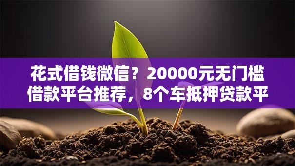 花式借钱微信?20000元无门槛借款平台推荐,8个车抵押贷款平台盘点 花式借钱微信?20000元无门槛借款平台推荐,8个车抵押贷款平台盘点