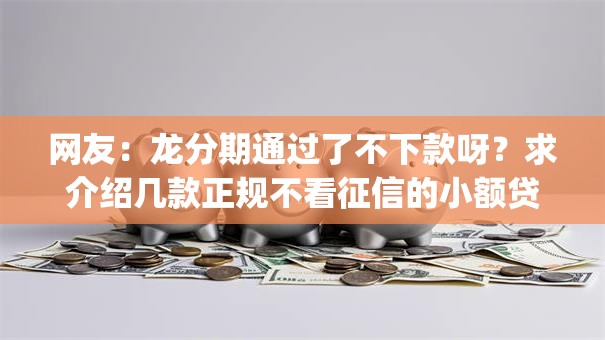 网友:龙分期通过了不下款呀?求介绍几款正规不看征信的小额贷款app 网友:龙分期通过了不下款呀?求介绍几款正规不看征信的小额贷款app