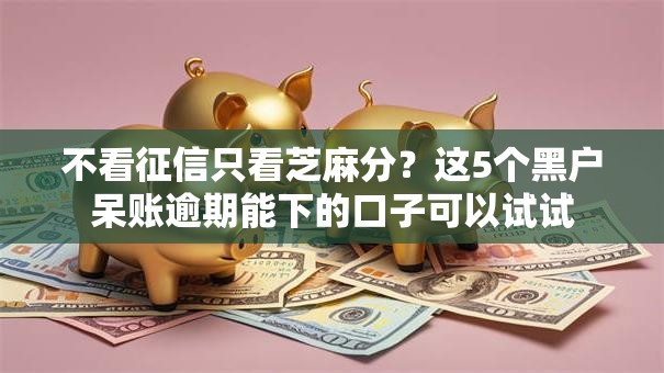 不看征信只看芝麻分？这5个黑户呆账逾期能下的口子可以试试