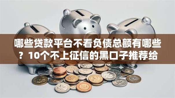 哪些贷款平台不看负债总额有哪些？10个不上征信的黑口子推荐给你