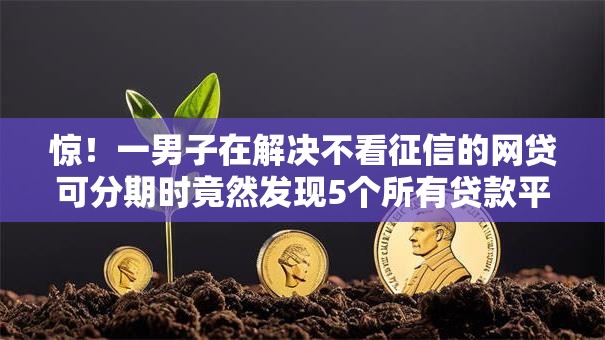 惊！一男子在解决不看征信的网贷可分期时竟然发现5个所有贷款平台名字大全，事后分享了出来