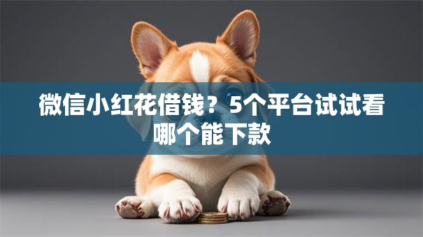 微信小红花借钱？5个平台试试看哪个能下款