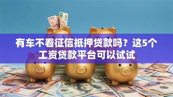 有车不看征信抵押贷款吗？这5个工资贷款平台可以试试