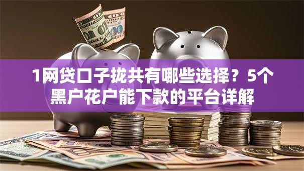 1网贷口子拢共有哪些选择？5个黑户花户能下款的平台详解