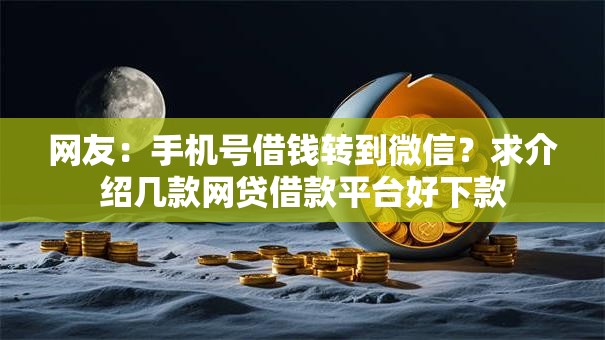 网友：手机号借钱转到微信？求介绍几款网贷借款平台好下款