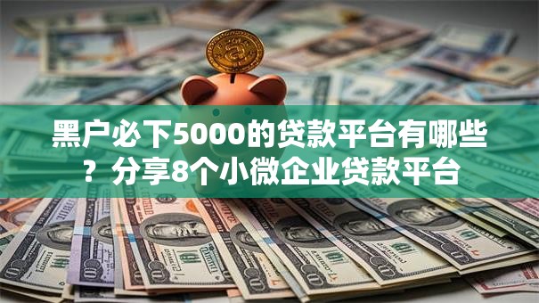 黑户必下5000的贷款平台有哪些？分享8个小微企业贷款平台
