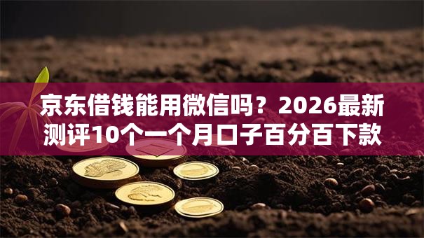 京东借钱能用微信吗？2026最新测评10个一个月口子百分百下款的平台