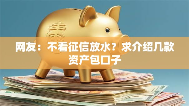 网友：不看征信放水？求介绍几款资产包口子