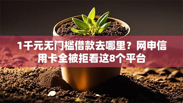 1千元无门槛借款去哪里?网申信用卡全被拒看这8个平台 1千元无门槛借款去哪里?网申信用卡全被拒看这8个平台