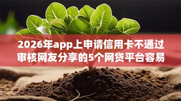 2026年app上申请信用卡不通过审核网友分享的5个网贷平台容易通过我觉得不错！