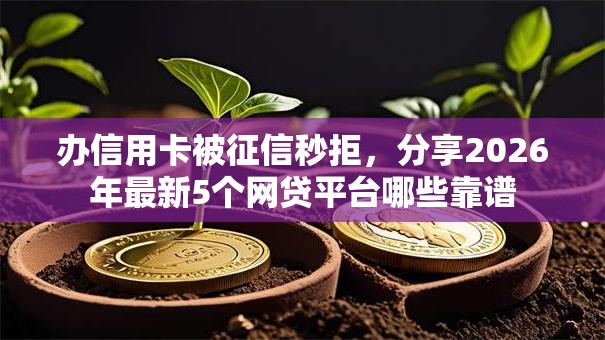 办信用卡被征信秒拒,分享2026年最新5个网贷平台哪些靠谱 办信用卡被征信秒拒,分享2026年最新5个网贷平台哪些靠谱