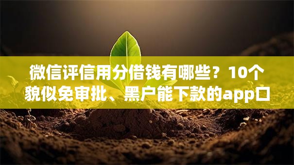 微信评信用分借钱有哪些？10个貌似免审批、黑户能下款的app口子入口合集