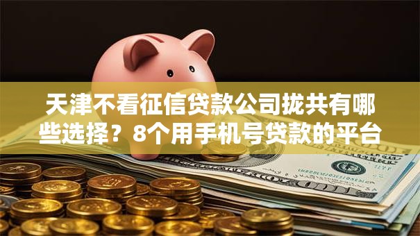 天津不看征信贷款公司拢共有哪些选择？8个用手机号贷款的平台详解