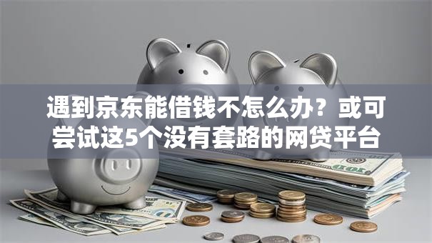 遇到京东能借钱不怎么办？或可尝试这5个没有套路的网贷平台