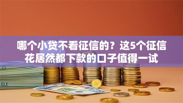 哪个小贷不看征信的?这5个征信花居然都下款的口子值得一试 哪个小贷不看征信的?这5个征信花居然都下款的口子值得一试