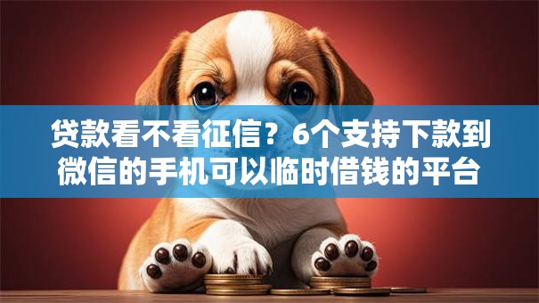 贷款看不看征信?6个支持下款到微信的手机可以临时借钱的平台 贷款看不看征信?6个支持下款到微信的手机可以临时借钱的平台
