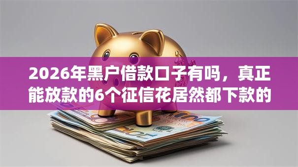 2026年黑户借款口子有吗，真正能放款的6个征信花居然都下款的app推荐
