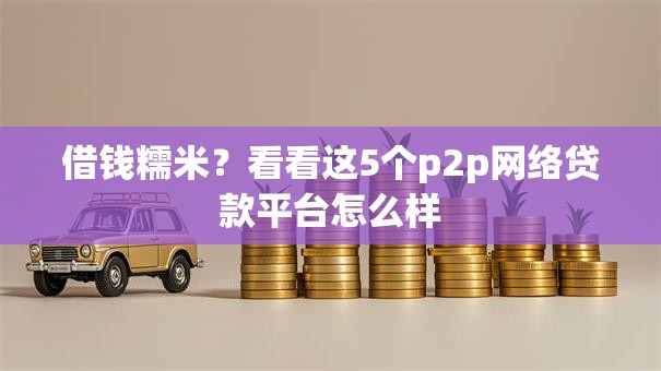 借钱糯米？看看这5个p2p网络贷款平台怎么样