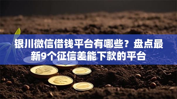 银川微信借钱平台有哪些?盘点最新9个征信差能下款的平台 银川微信借钱平台有哪些?盘点最新9个征信差能下款的平台