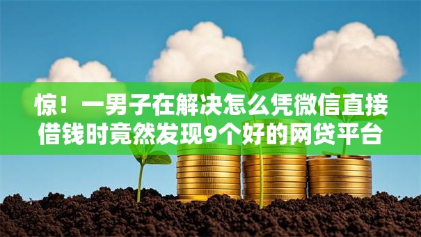 惊！一男子在解决怎么凭微信直接借钱时竟然发现9个好的网贷平台，事后分享了出来