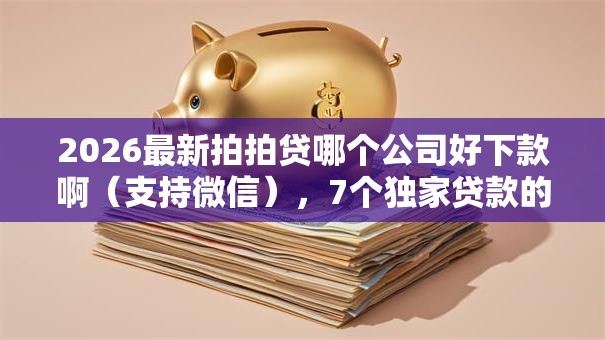 2026最新拍拍贷哪个公司好下款啊（支持微信），7个独家贷款的口子无私分享