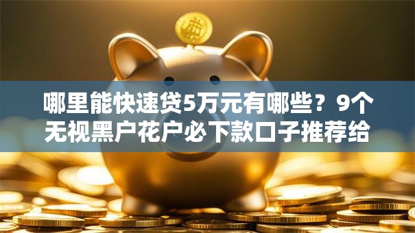哪里能快速贷5万元有哪些？9个无视黑户花户必下款口子推荐给你