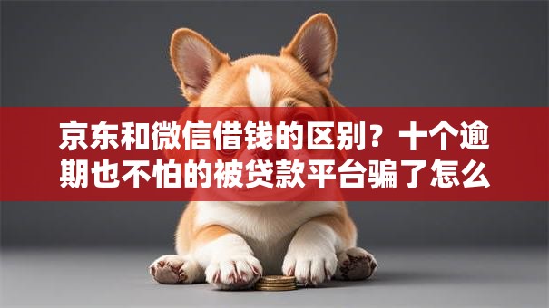 京东和微信借钱的区别？十个逾期也不怕的被贷款平台骗了怎么办