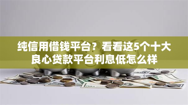 纯信用借钱平台？看看这5个十大良心贷款平台利息低怎么样