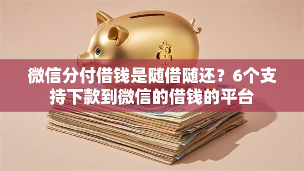 微信分付借钱是随借随还？6个支持下款到微信的借钱的平台
