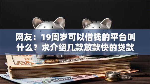 网友：19周岁可以借钱的平台叫什么？求介绍几款放款快的贷款平台