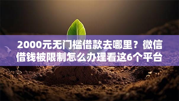 2000元无门槛借款去哪里?微信借钱被限制怎么办理看这6个平台 2000元无门槛借款去哪里?微信借钱被限制怎么办理看这6个平台