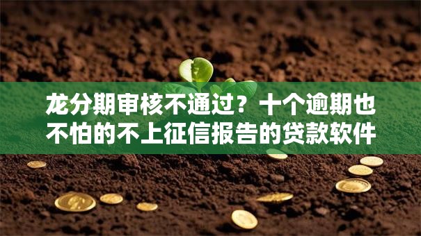 龙分期审核不通过？十个逾期也不怕的不上征信报告的贷款软件